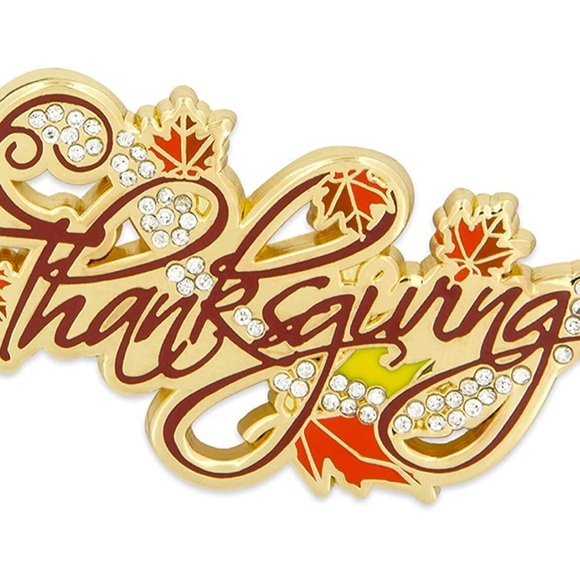 Jewelry - Thanksgiving brooch